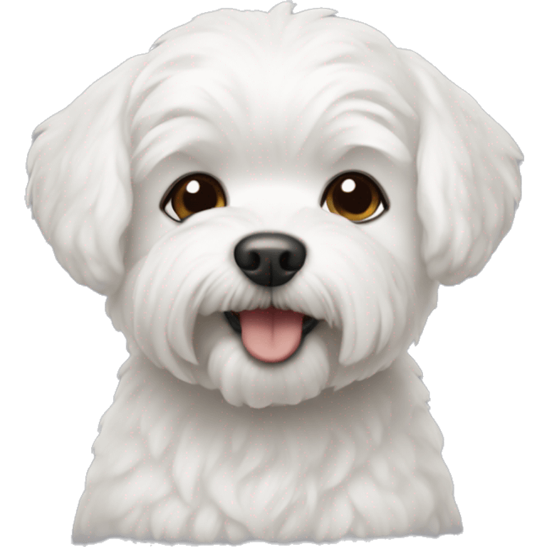 A small white maltipu dog. emoji