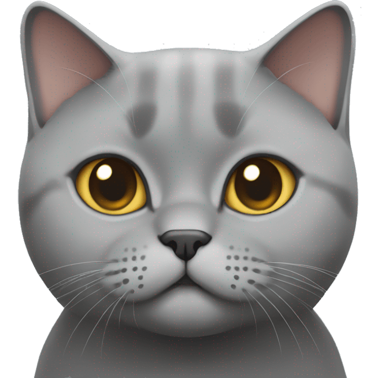  British shorthair cat emoji