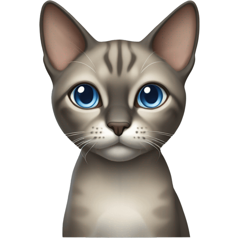 Thai breed realistic adult cat with a light cream-brown body, full dark gray face, ears, and paws. Short fur, sharp ears, striking light blue eyes  emoji