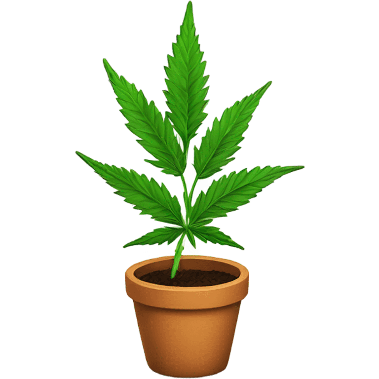 Cannabis plant in a pot emoji