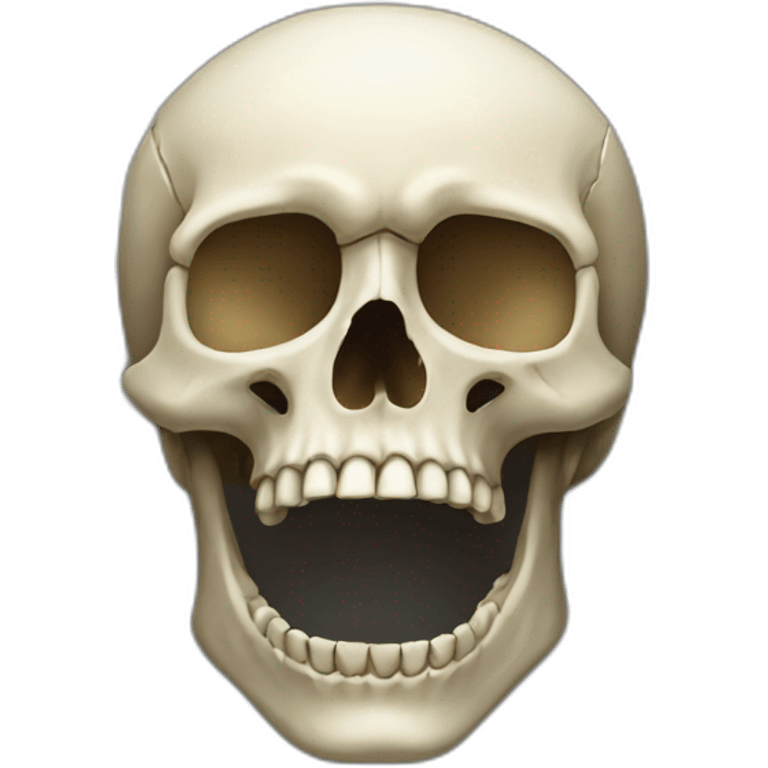  Skull  emoji