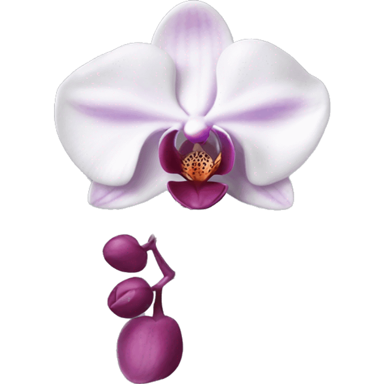 Phalaenopsis Orchid flower emoji