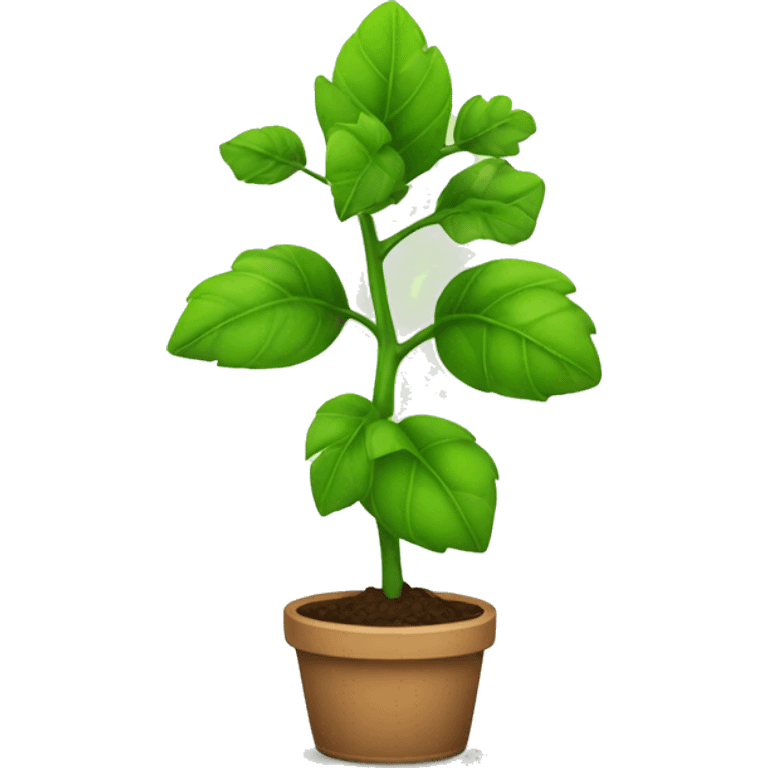 Plant growing  emoji