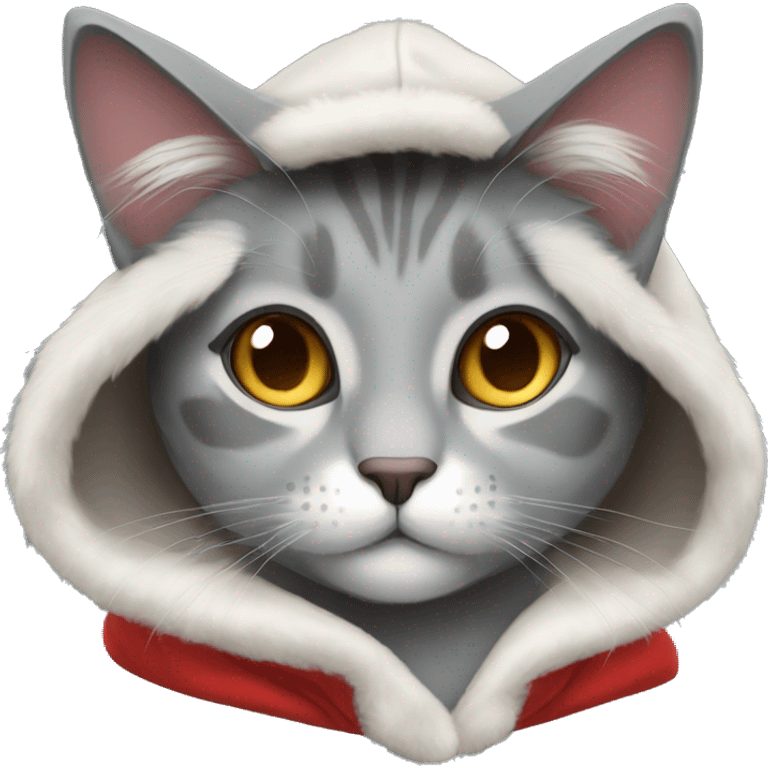 blue-eyed gray fur cat wearing a red hoodie emoji