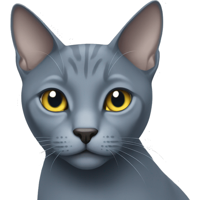 Russian blue cat  emoji