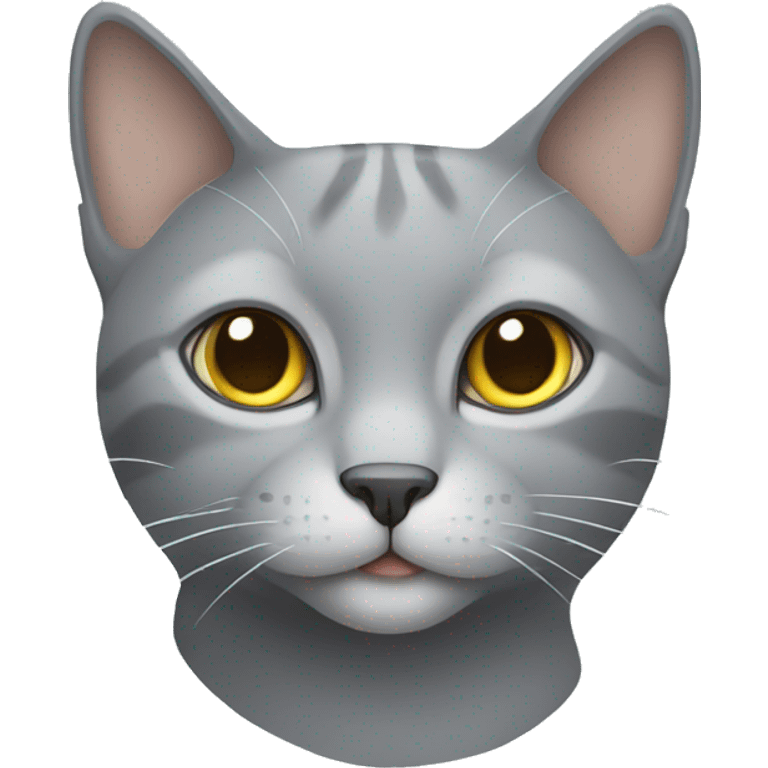 gray cat in numerology style emoji