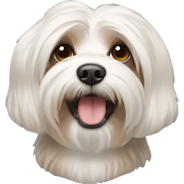 havanese dog emoji emoji