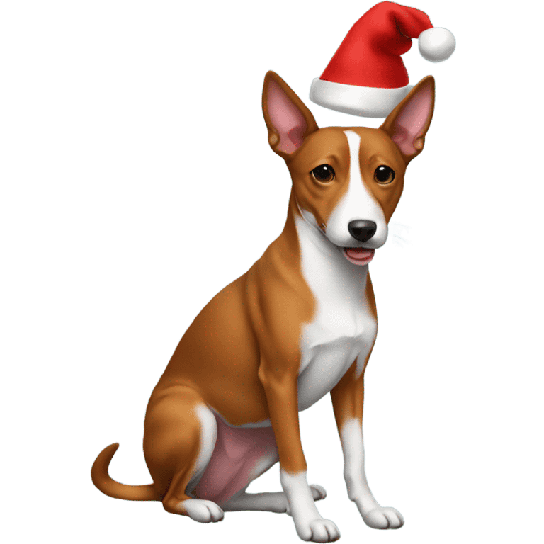 Basenji wearing a Christmas hat emoji