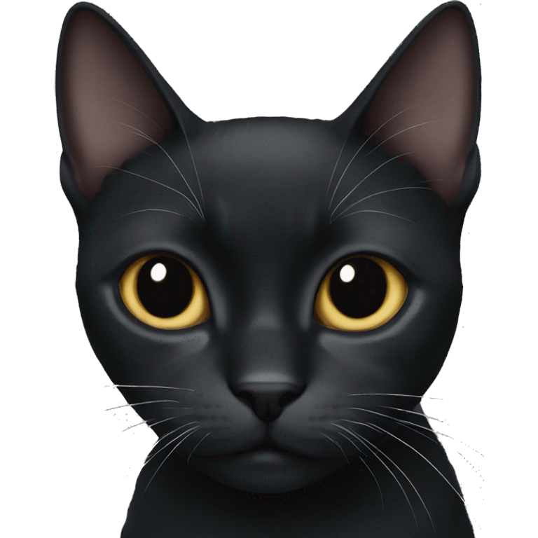 black cat with a white chin emoji