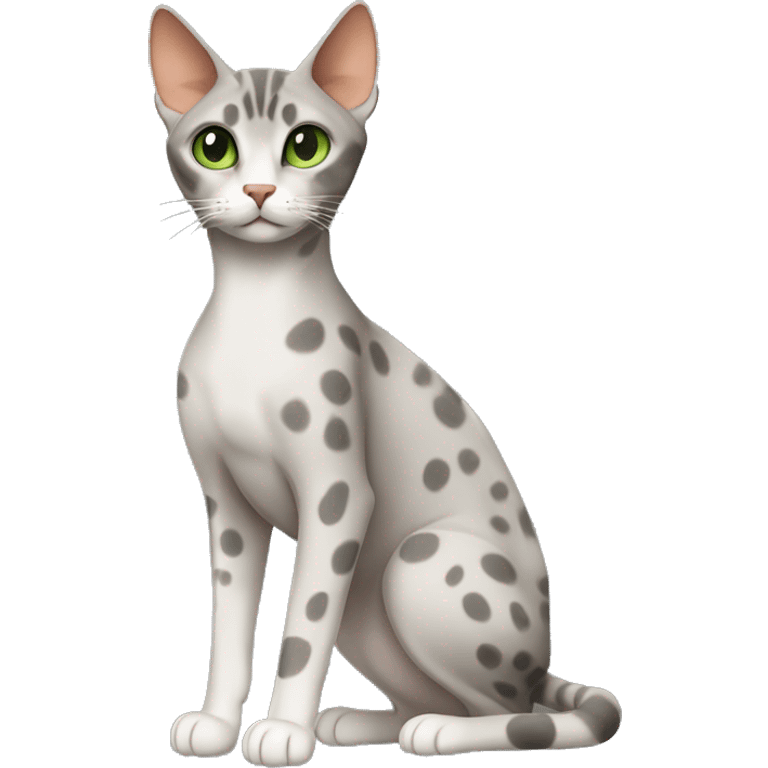 Short-haired oriental cat ,full body , grey coat with spots , green eyes , terracotta nuzzle emoji