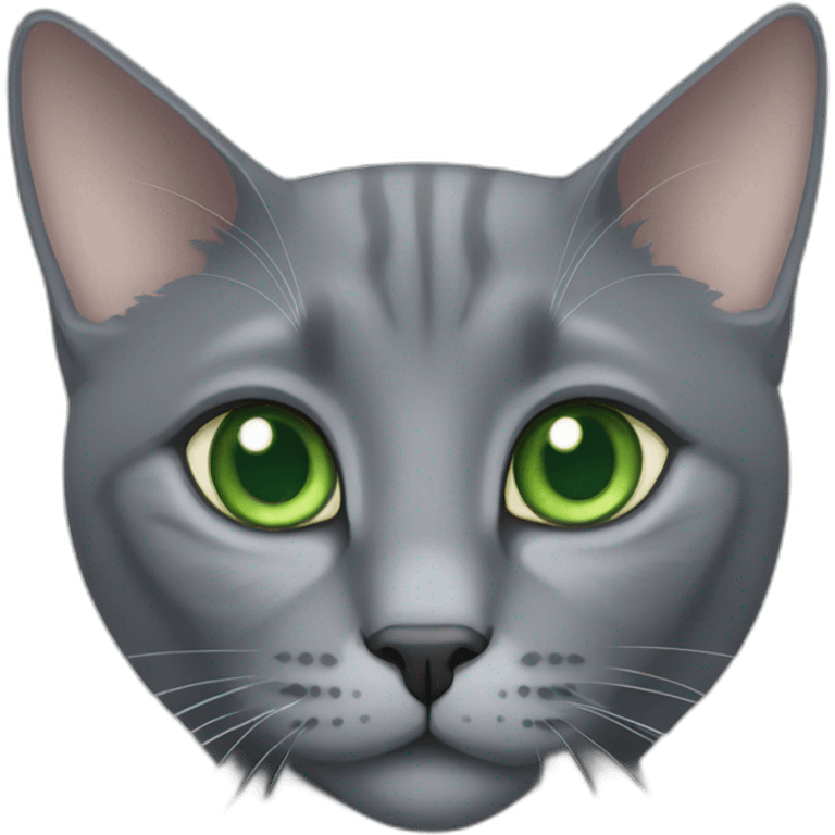 grey russian blue cat with green eyes with big pupils and chonk emoji