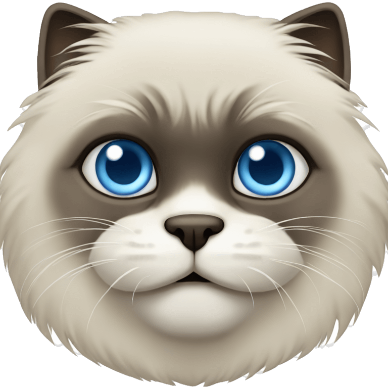 Himalayan cat with wide blue eyes emoji