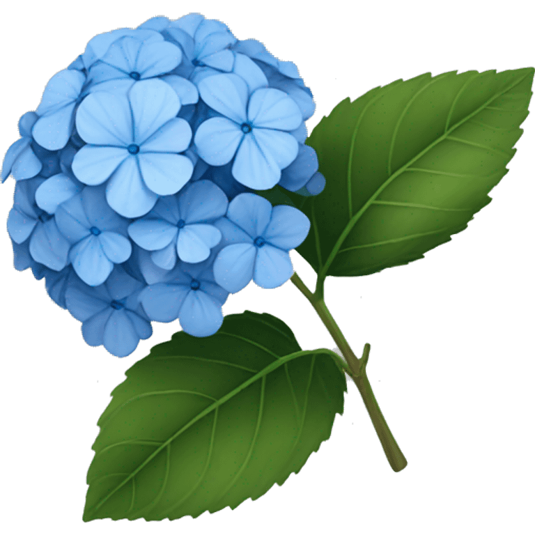 Blue hydrangea  emoji