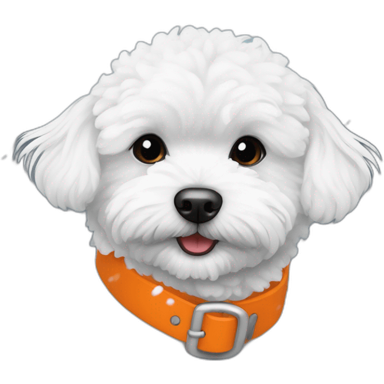 white maltipoo enjoying in the snow with orange collar emoji