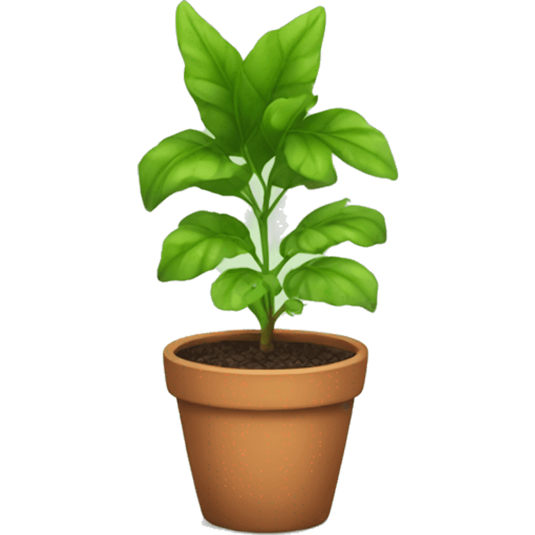 plant in a pot emoji