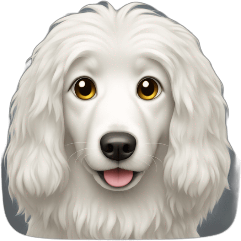 Long-haired white dog emoji