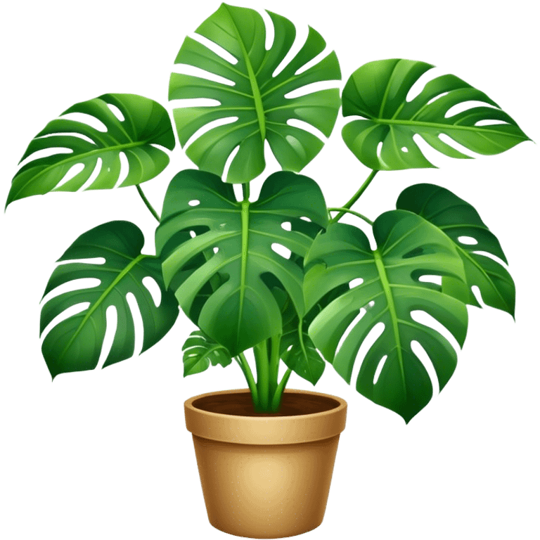 Monstera plant emoji