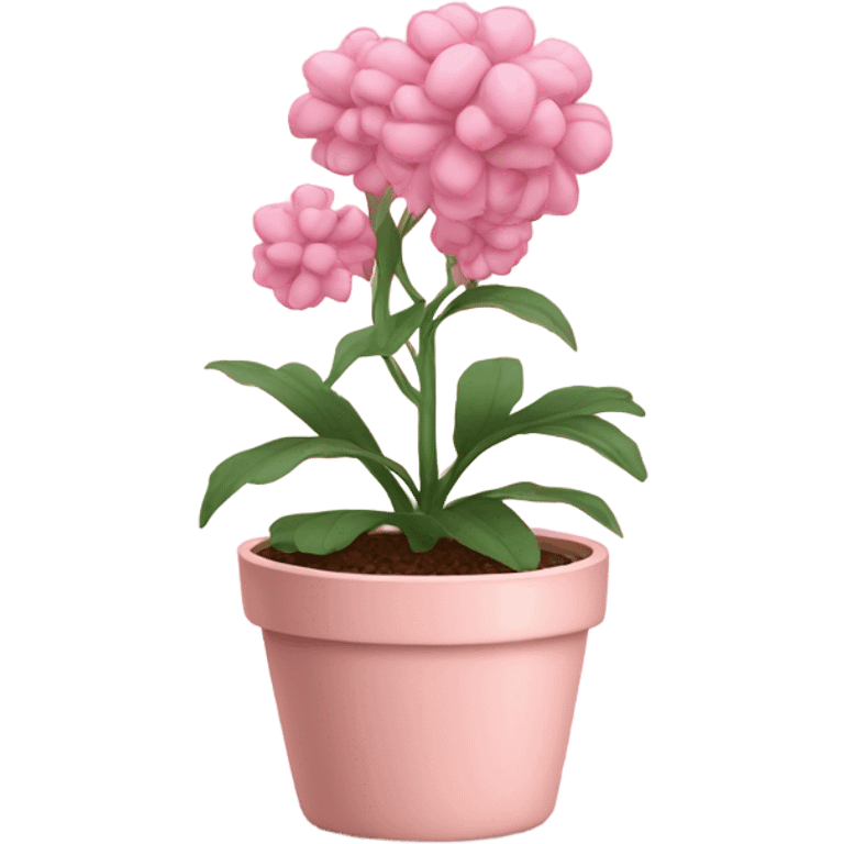 Pink plant in pale pink pot emoji