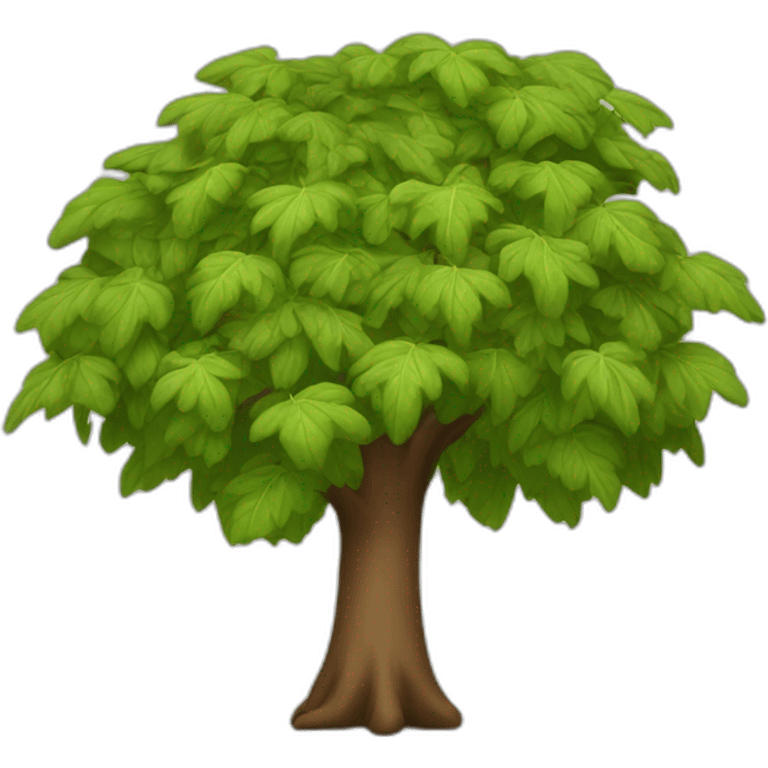 A tree with a brown trunk and very large, with a lot of leaves and in the shape of an umbrella emoji