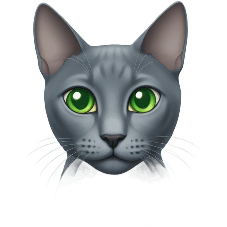 Russian blue cat green eyes emoji