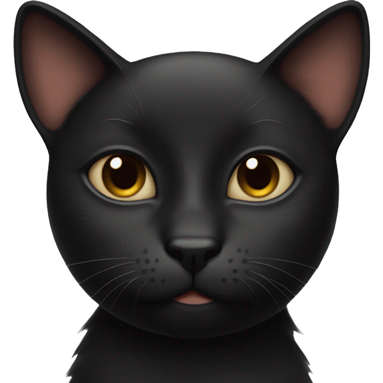 Black cat with much fue emoji