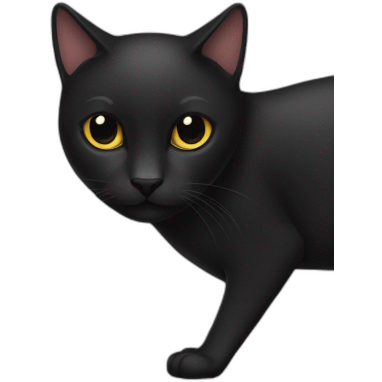 no-tail-black-cat-body emoji