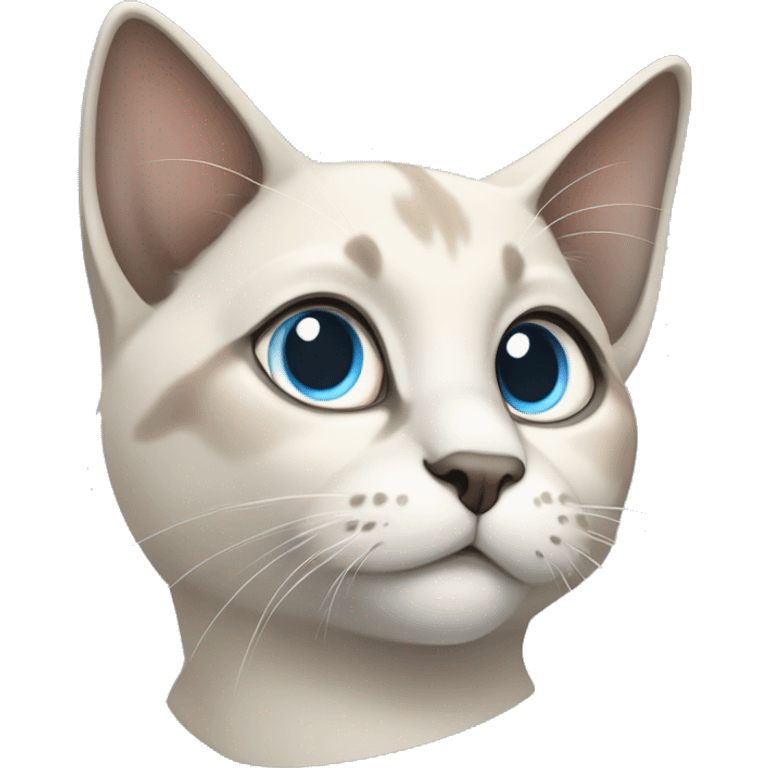 Thai breed cat with a light cream body, dark gray face, ears, and paws. Short fur, sharp ears, and striking light blue eyes with an intense gaze. emoji