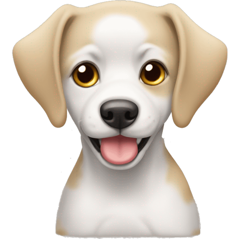 Perrita blanca  con ojos cafés pequinés c emoji