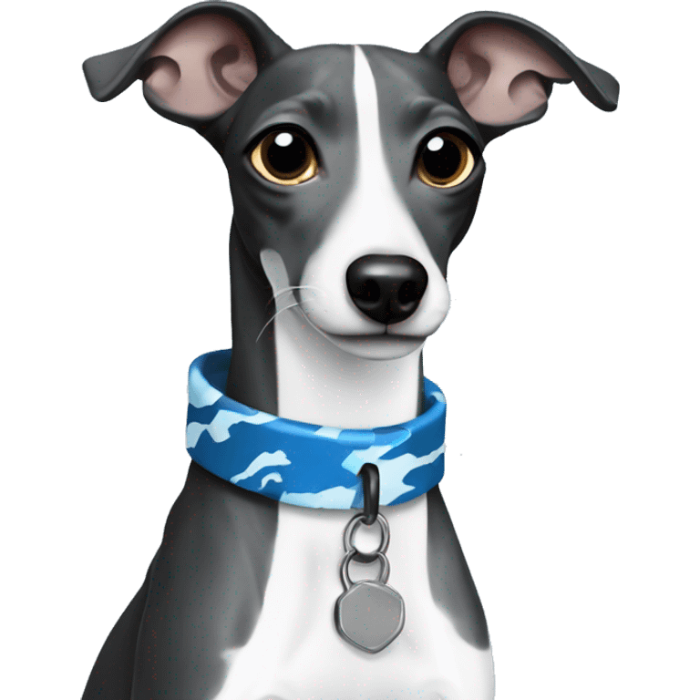 Black and white Italian greyhound with blue camo collar emoji