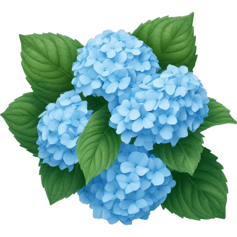 Light blue hydrangea ￼ emoji