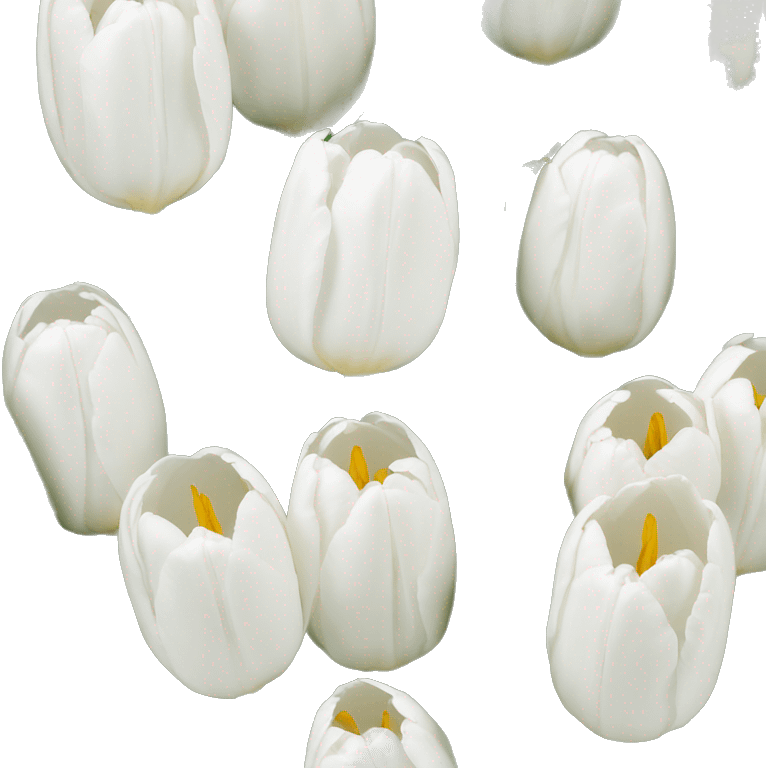 White tulipans  emoji