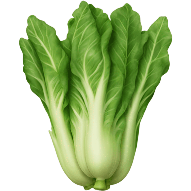 lechuga emoji