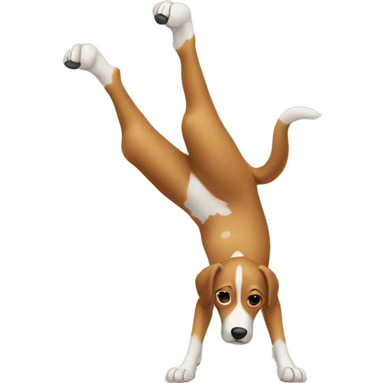 Dog doing a handstand  emoji