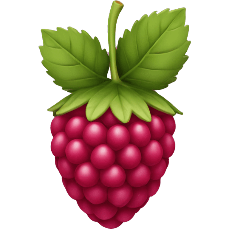 Raspberry  emoji