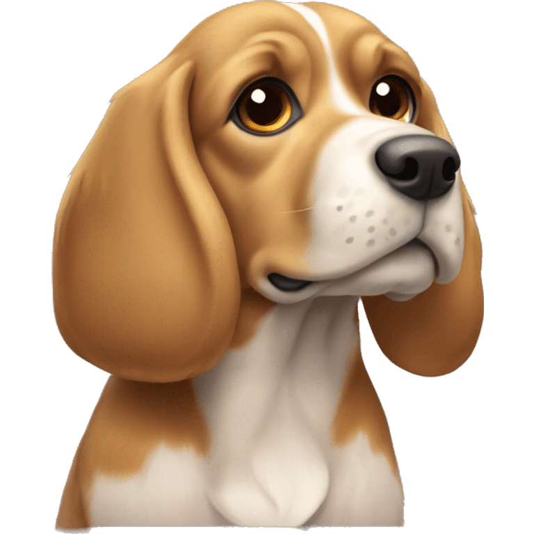 Beagle cocker spaniel cross with light brown flat fur emoji