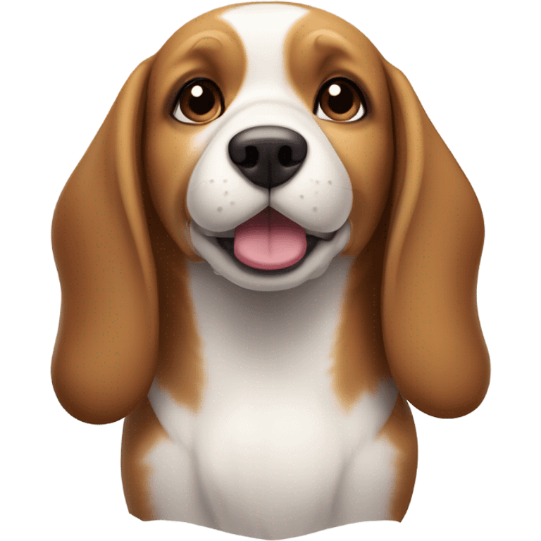 Cute beagle dog with short ears and is medium brown and white that’s cute and a little chubby that is really cute  emoji