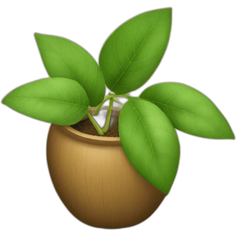 yerba mate emoji