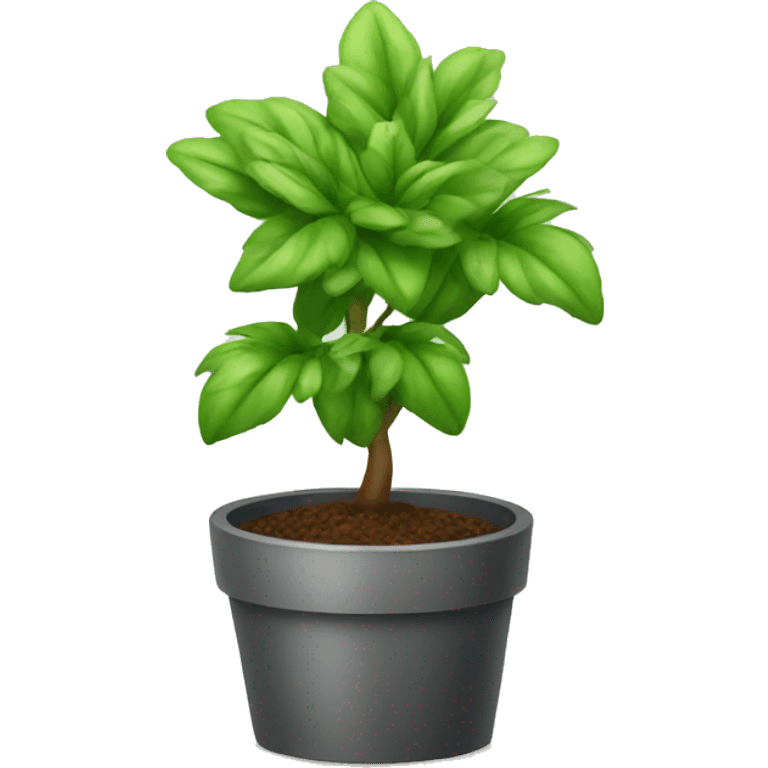 plant with emoji