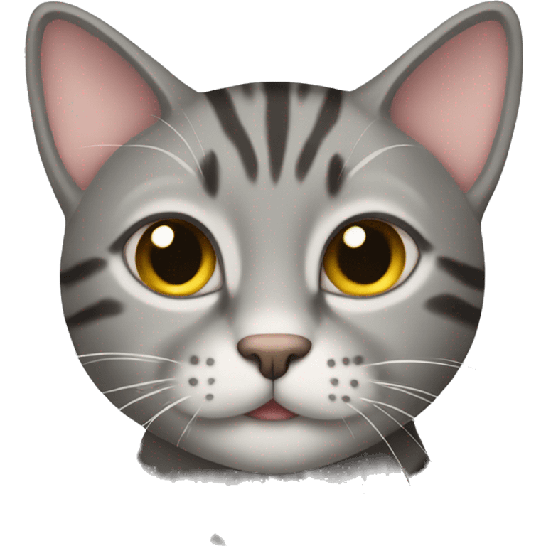 gray tabby cat emoji