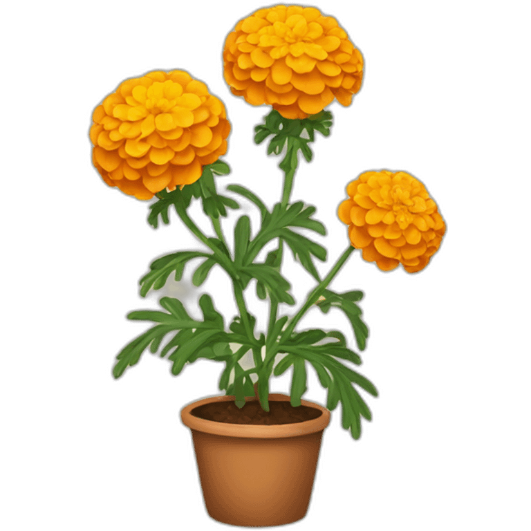 MARIGOLD PLANT emoji