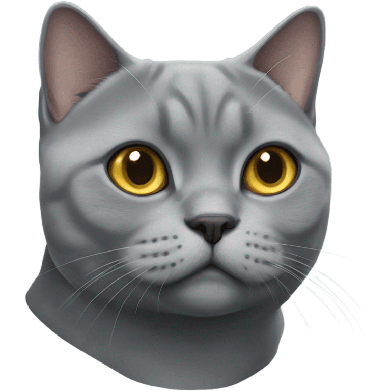 A Grey british shorthair cat emoji