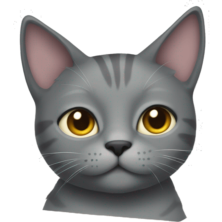 Grey Cat in box emoji