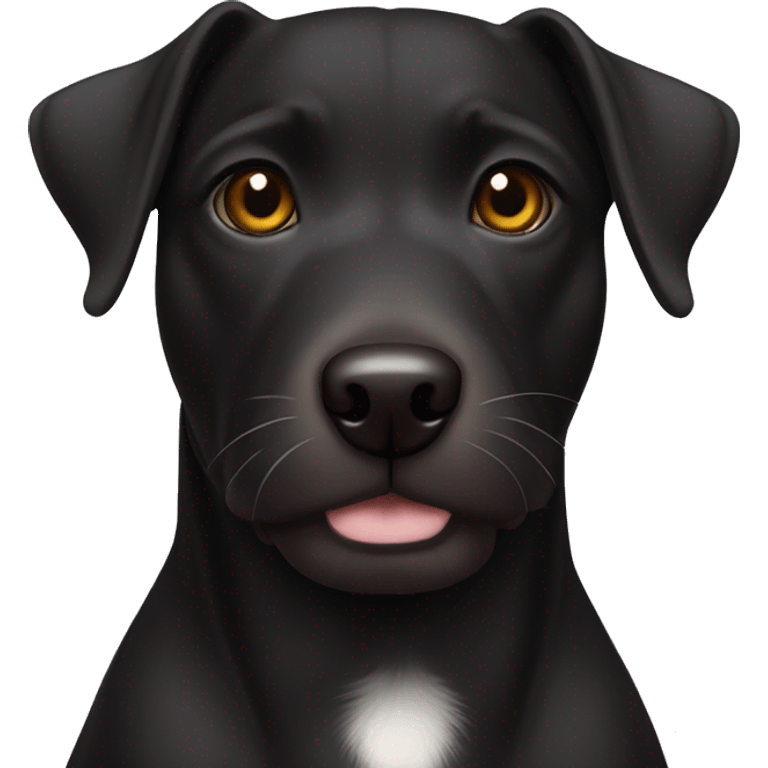 A black Patterdale Terrier dog with a white patch on its chest and brown eyes.  emoji