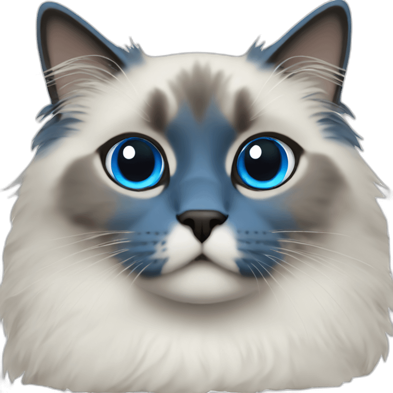 Blue point Ragdoll emoji