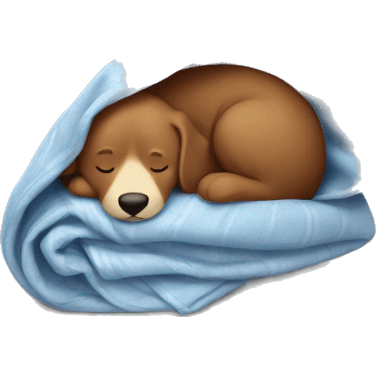 Paddington sleeping in a blanket emoji