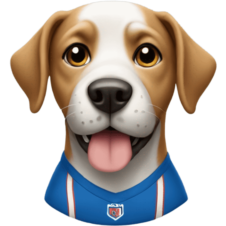 Dog wearing jersey emoji