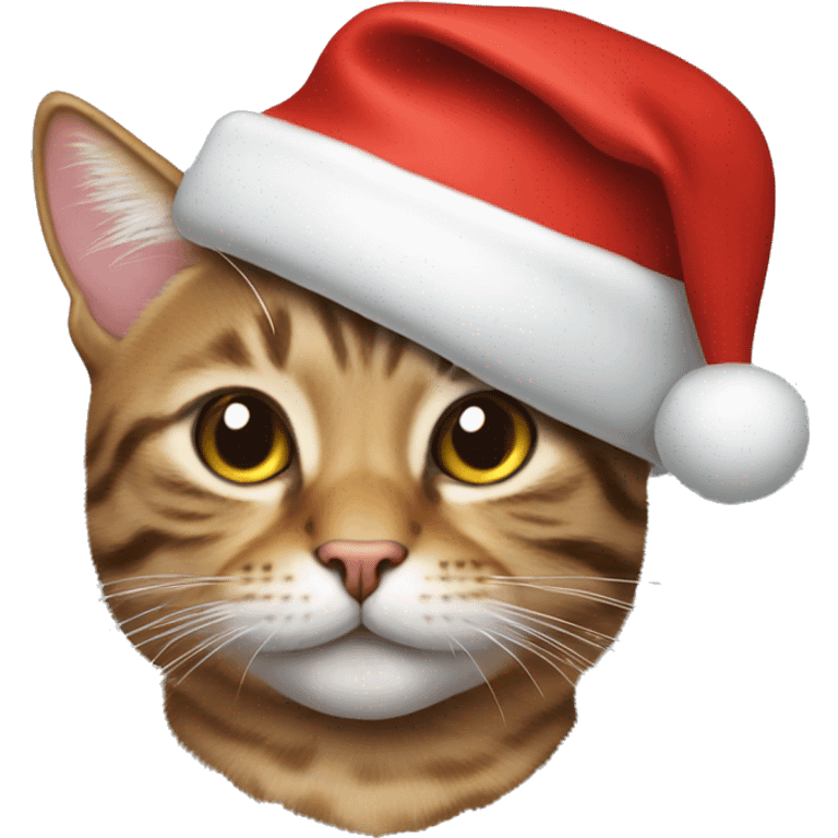 Tabby cat with Christmas hat emoji