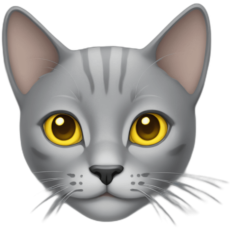 grey cat with yellow eyes emoji