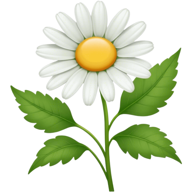 Cinematic Realistic Daisy Emoji, Cheerful and pure, with bright white petals surrounding a sunny yellow center, standing proudly atop a slender green stem. The soft, vibrant petals seem to radiate positivity, while a few green leaves frame the delicate flower. Soft glowing outline, capturing the essence of simplicity, innocence, and happiness in a single daisy. emoji