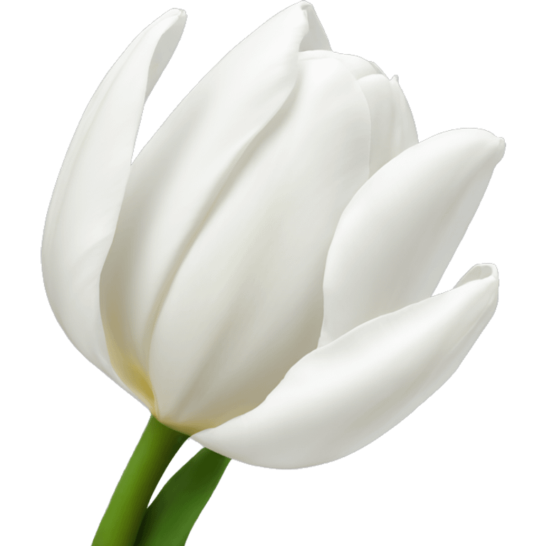 White tulips emoji